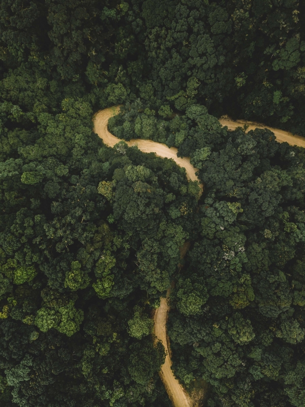 Eco-Expedición Colonial Maya