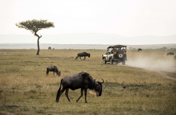 Ruta delta del Okavango en camión