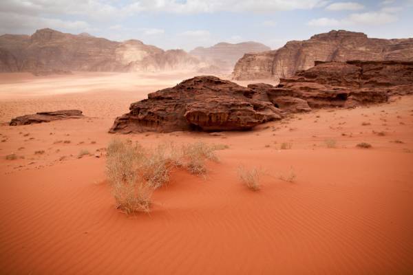 El valle de la Luna y Mar Muerto 2026