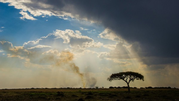 Safari en Zambia