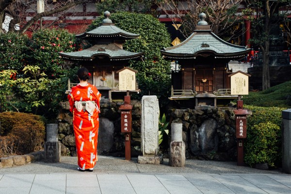 Japón Confort by Himba - Octubre