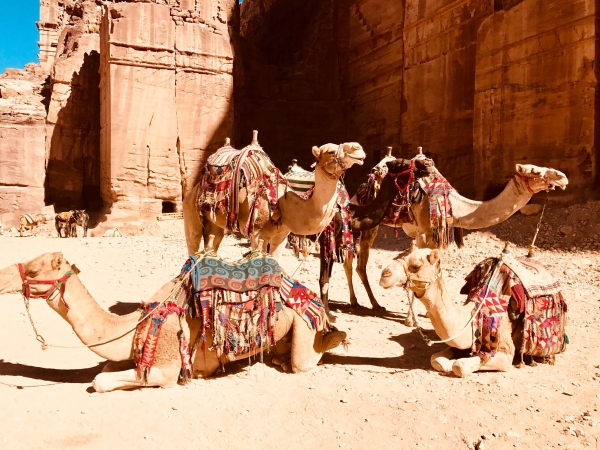 Jordania, Desierto, Mar Muerto y Mar Rojo