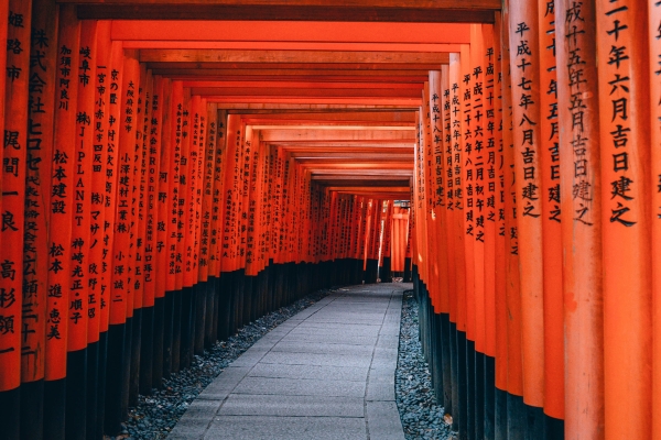 Japón Sensei by Himba - Marzo 2026