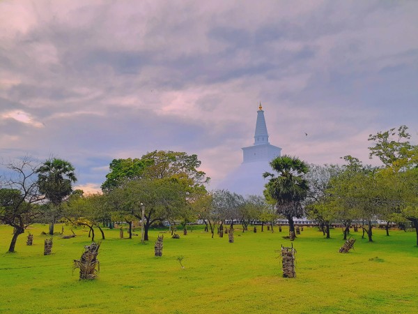 Sri Lanka, salidas regulares
