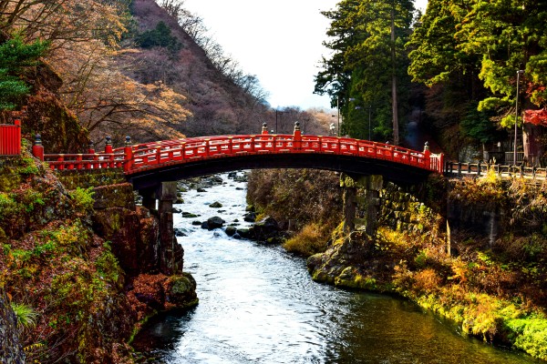 Japón Confort - Mayo