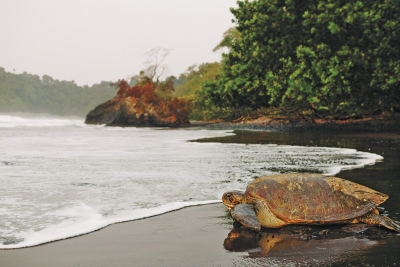 Guinea Equatorial, Islas de Bioko y Annobón