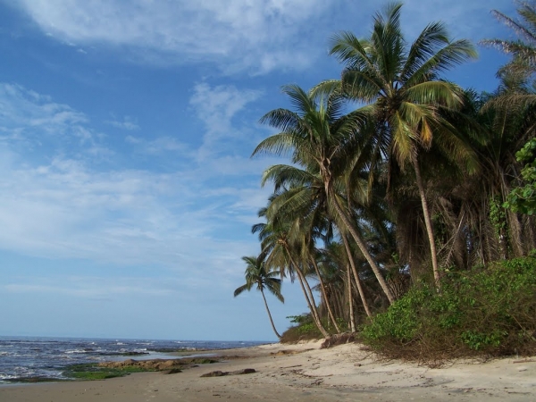 Palmeras en la Nieve,  Guinea Equatorial